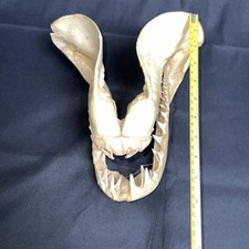 Mako shark jaw for sale  Englewood