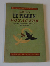Poulain pigeon voyageur d'occasion  Douarnenez