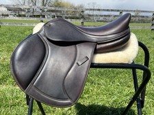 Gorgeous 15.5 ovation for sale  Adamstown