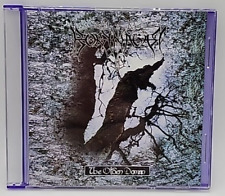 Olden Domain by Borknagar (CD, 2012) comprar usado  Enviando para Brazil