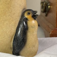 Ebros antarctica natural for sale  DINGWALL