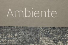 Tapetenbuch ambiente tapetenmu gebraucht kaufen  Groß-Zimmern