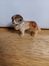 Goebel saint bernard for sale  Dayton