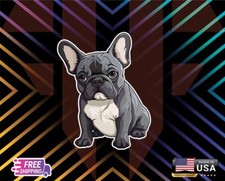 French bulldog frenchie for sale French bulldog frenchie for sale  Norwalk