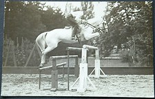 49609 cheval saut d'occasion 49609 cheval saut d'occasion  Expédié en France