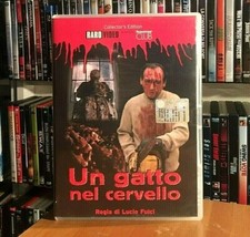 Gatto nel cervello usato Gatto nel cervello usato  Porto Cesareo