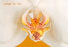 Carte postale anne d'occasion  Rioz