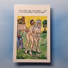 Comic postcard nudist for sale  TELFORD