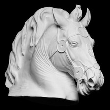Statua testa cavallo usato  San Marco Evangelista