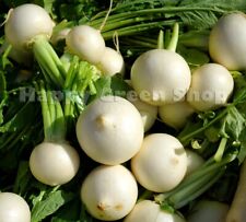 Vegetable turnip seeds for sale  DONCASTER