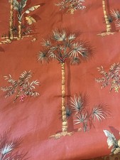 Tropical palm tree for sale  Naples