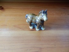 Wade foal standing for sale  BOSTON