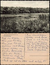 Ansichtskarte sahlenburg cuxha gebraucht kaufen  Ortrand