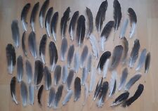 Mittlere länge gans gebraucht kaufen  Chemnitz