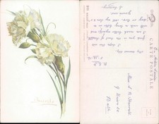 White carnations paris for sale  ROSSENDALE