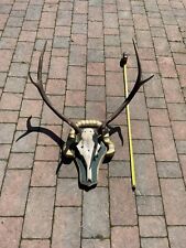 Wall mounted deer for sale  SALISBURY