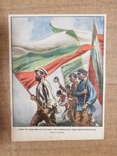 Retrocopertina illustrazione d usato  Villarosa