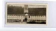 Ogdens greyhound racing for sale  WITHERNSEA
