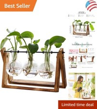 Beautiful plant terrarium for sale  Dallas