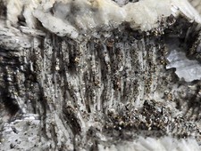 Mineralien baryt chalkopyrit gebraucht kaufen  Sundern (Sauerland)