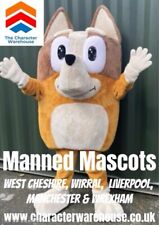 Hire bing mascot for sale  ELLESMERE PORT