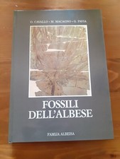 Aa.vv. fossili dell usato  Fossano