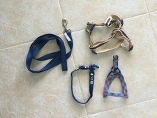 Dog collar harness for sale  Fort Lauderdale