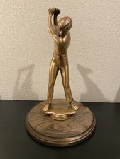 Provo open champion for sale  Woodland Hills