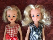 Two pedigree sindy for sale  NELSON