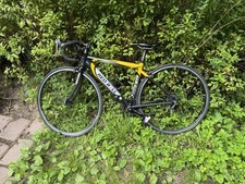 Rennrad herren 167cm gebraucht kaufen  Halver