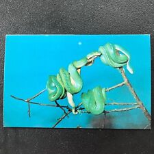 Vtg green tree for sale  Rosedale