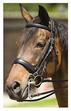 Briglia dressage per usato  Italia