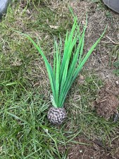 Oase biorb easy for sale  BARNET