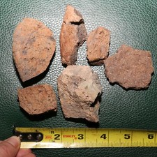 Ankylosaurus scute authentic for sale  Scottsdale