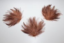 Antique hat feather d'occasion  Expédié en Belgium