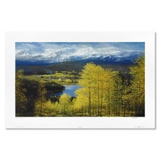 Peter ellenshaw colorado for sale  Escondido