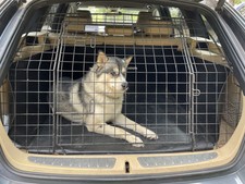 Barjo full tailgate for sale  MALVERN