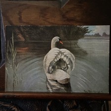 Birds art signed for sale Birds art signed for sale  BUCKINGHAM