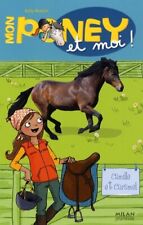 Poney tome camille d'occasion  France