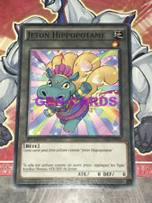 Carte jeton hippopotame d'occasion  Bruay-la-Buissière