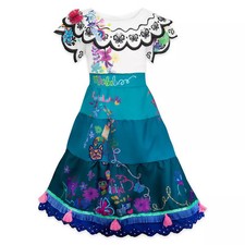 Encanto disney costume for sale  USA