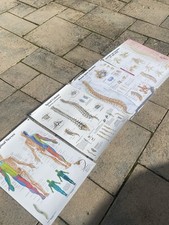 Orthopaedics spine medical for sale  ALTRINCHAM