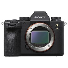 Sony fotocamera mirrorless usato  Italia