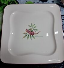 Villeroy boch speiseteller gebraucht kaufen  Leipzig
