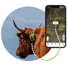 Collare gps per usato  Trebisacce
