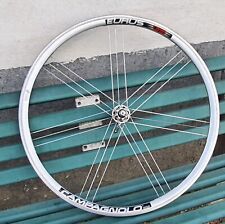 Ruota posteriore campagnolo usato  Ferentino