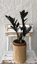Right size black for sale  Cape Coral