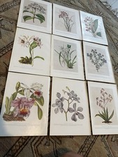 Floral book plates for sale  LEICESTER