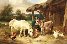 Pony donkey chickens for sale  Ahsahka