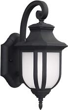 Generation lighting 8536301en3 for sale  Terre Haute